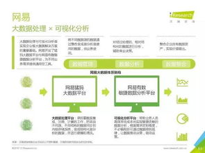2016年中国数据驱动型互联网企业大数据产品研究报告 聚焦工业互联网数据服务